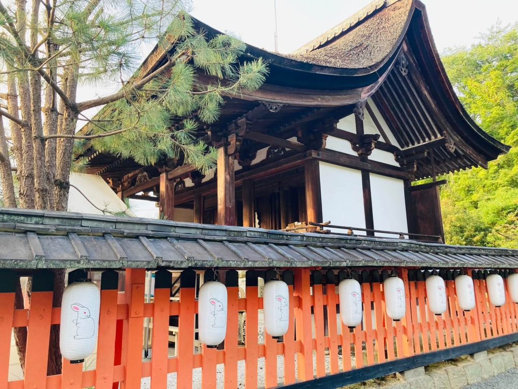燈籠也是兔子